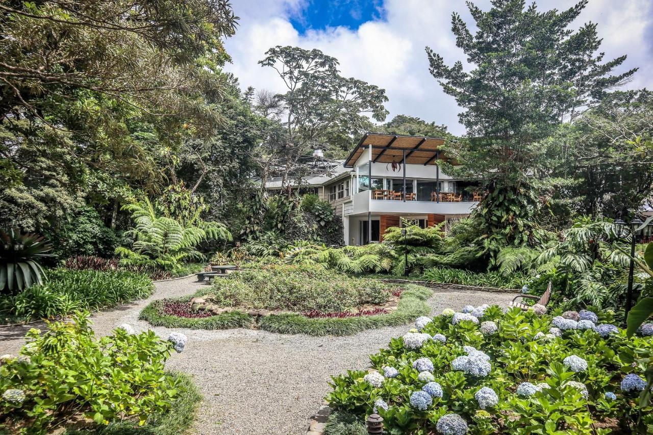 & Gardens By Boeena Monteverde