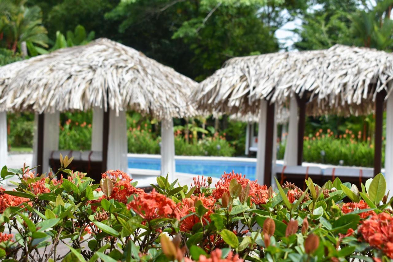 Hotel Espadilla Gardens