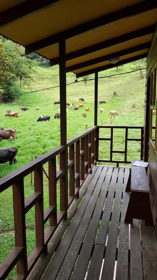 Lodge Terra Viva