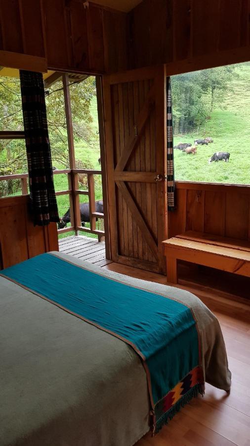 Terra Viva Monteverde