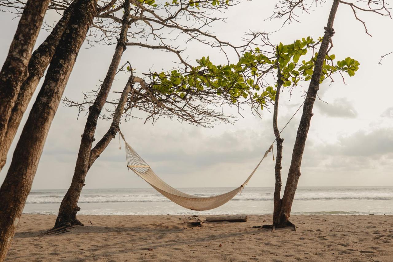 Hotel Blue Mist Hotel- Adults Only Playa Santa Teresa (Puntarenas)