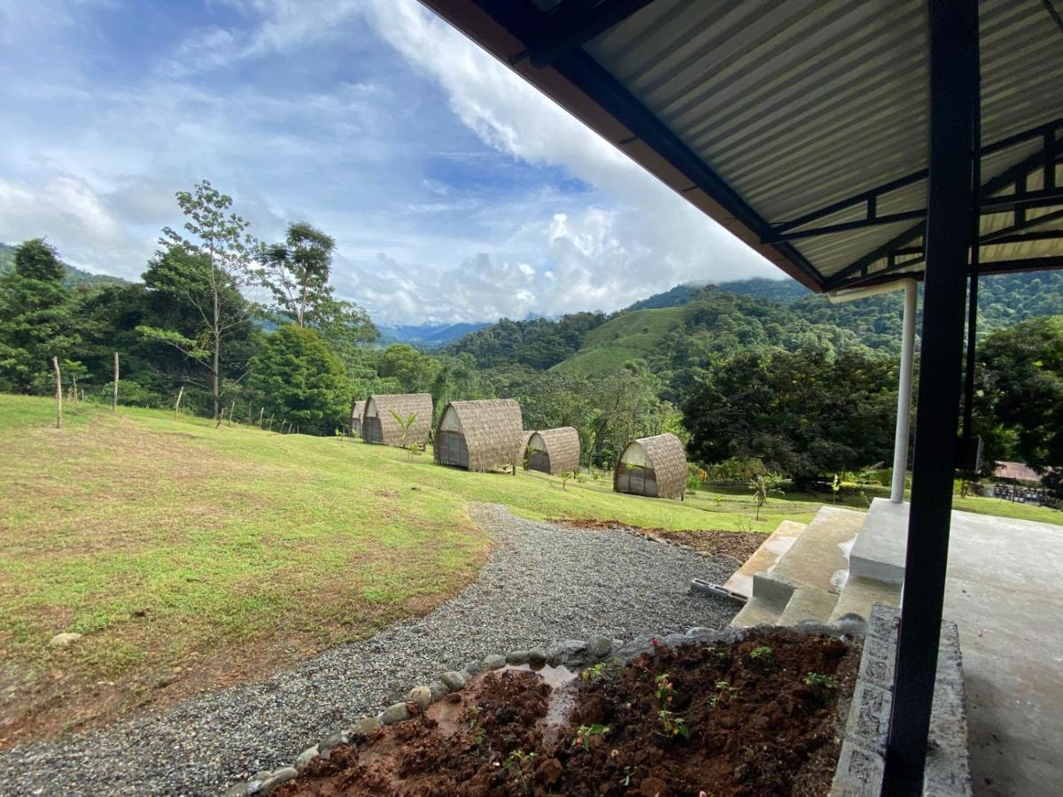 Esquipulas Rainforest