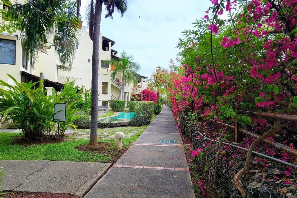 Amazing Oceanview Rooftop Terrace Walk To Apartment