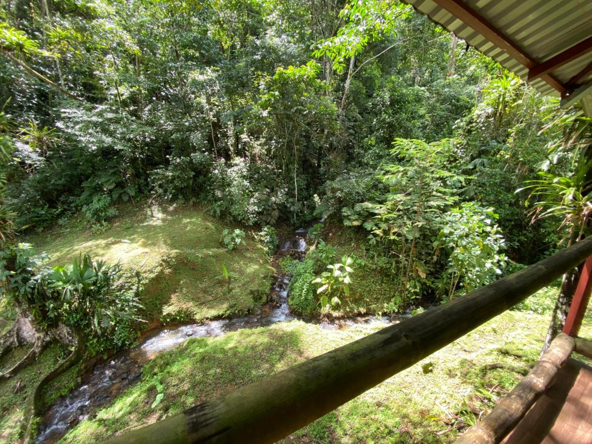 Farm stay Esquipulas Rainforest *