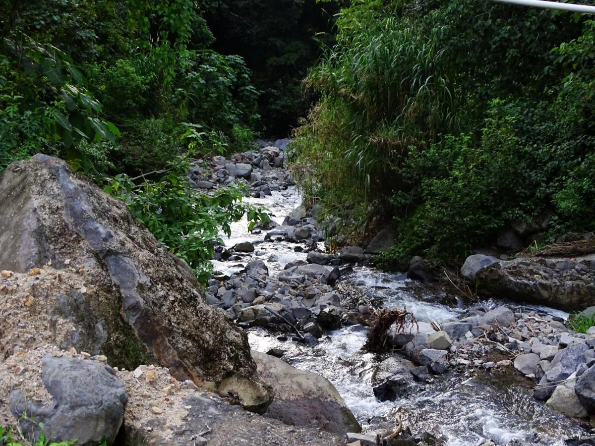 Miztli & Adventure 3* Monteverde