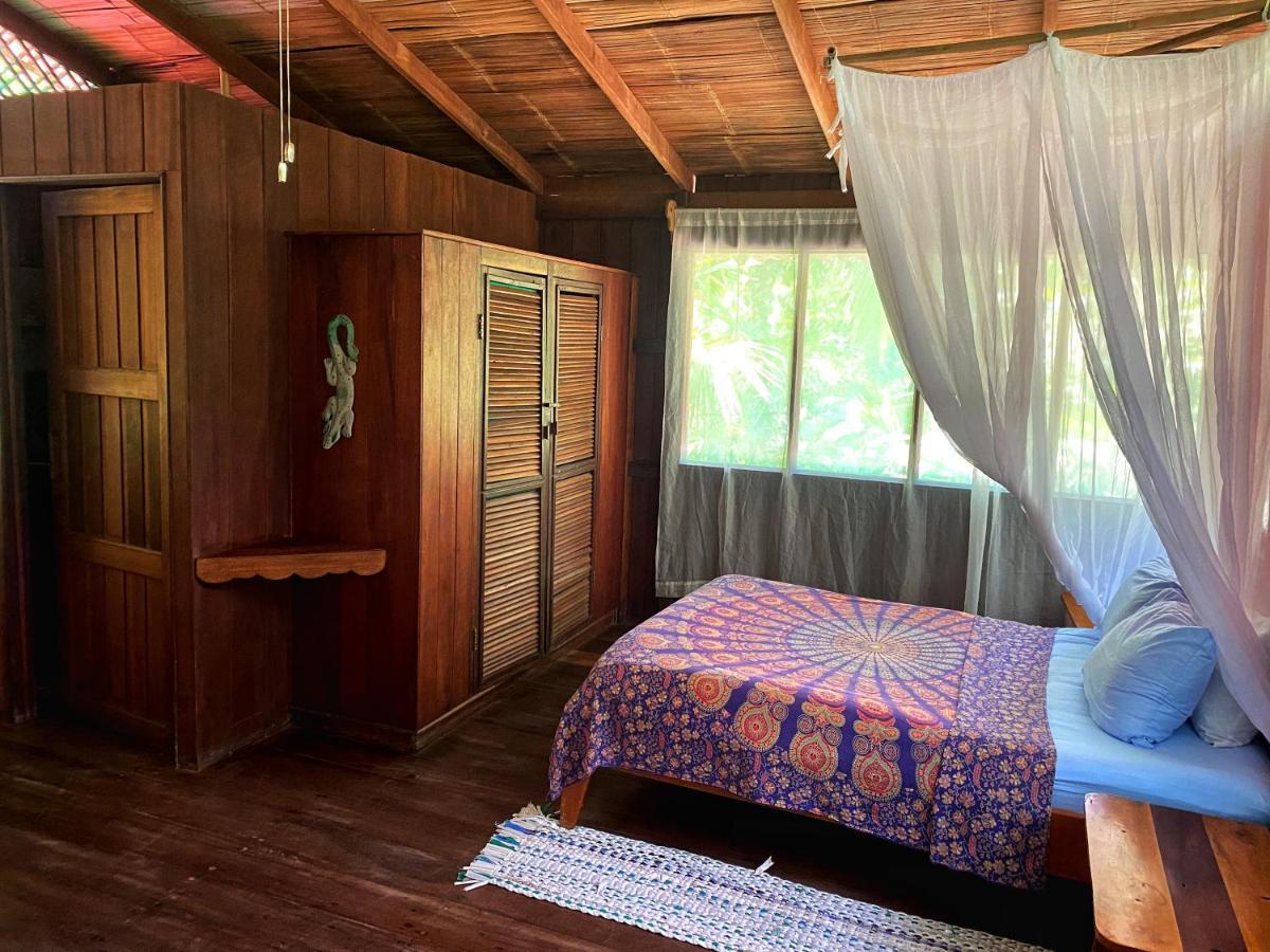 Ocean Forest Hotel San Pedrillo