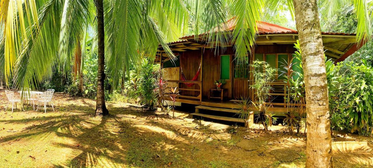 Hotel Ocean Forest 3*