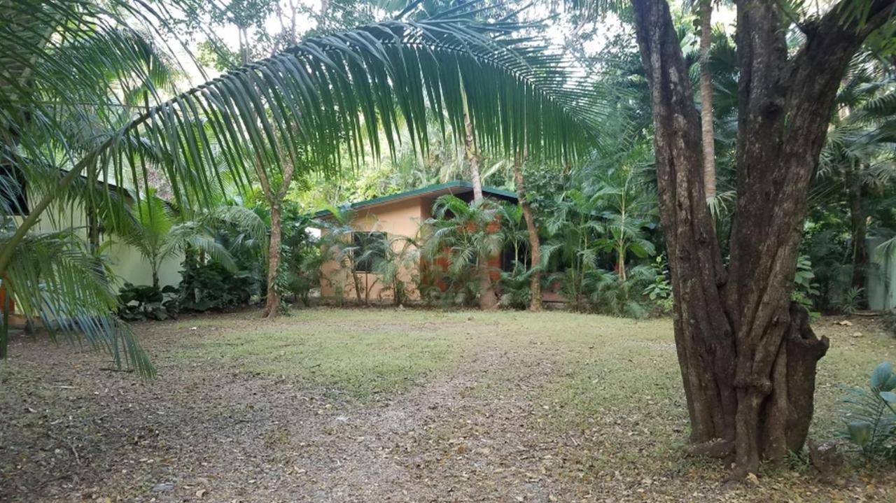 Paradise Lodge