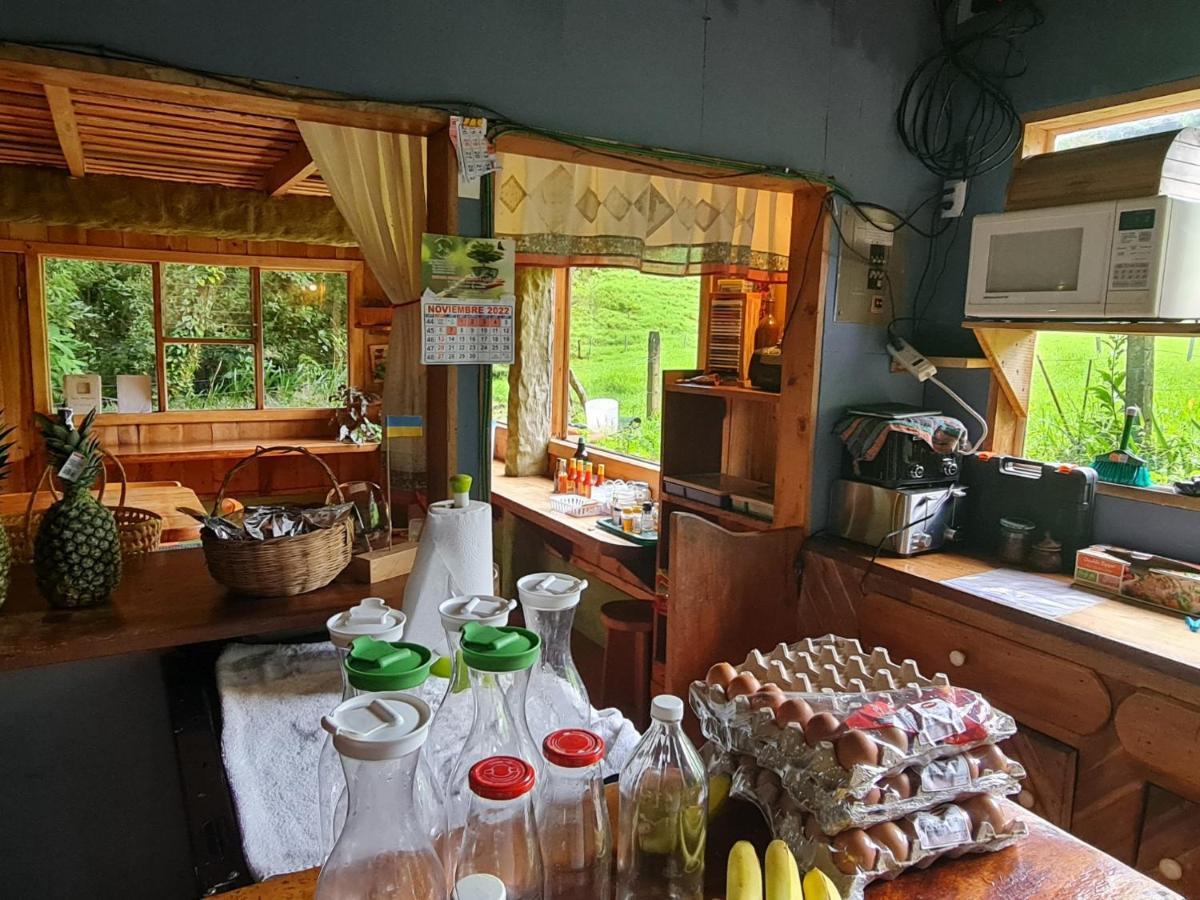 Terra Viva Lodge *