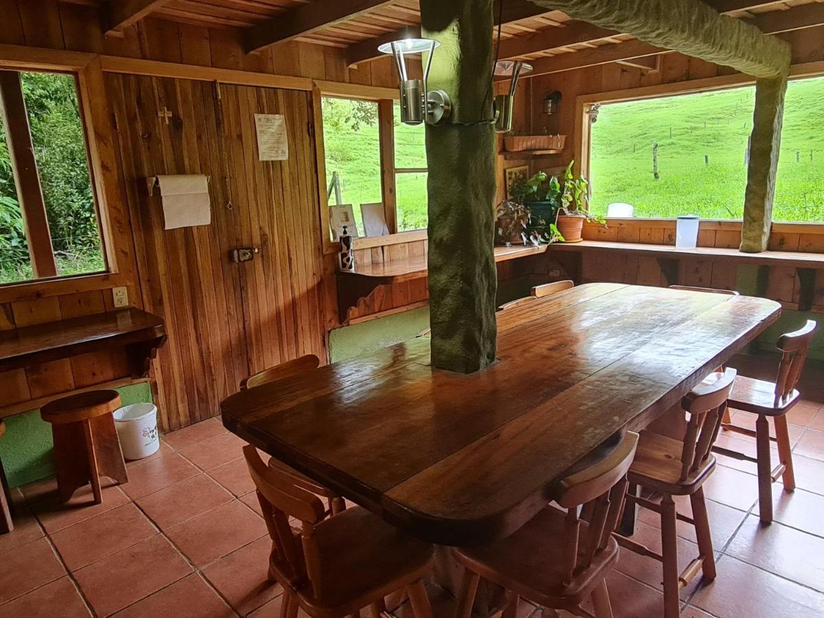 Terra Viva * Monteverde