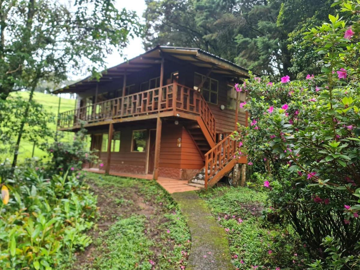 Terra Viva * Monteverde