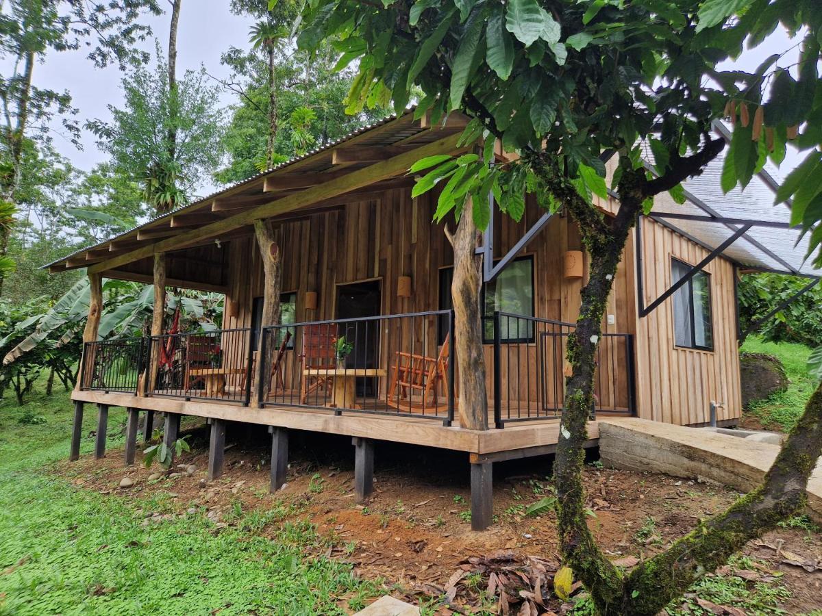Lodge Amistad Cacao