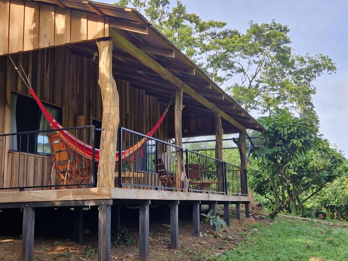 Lodge Amistad Cacao