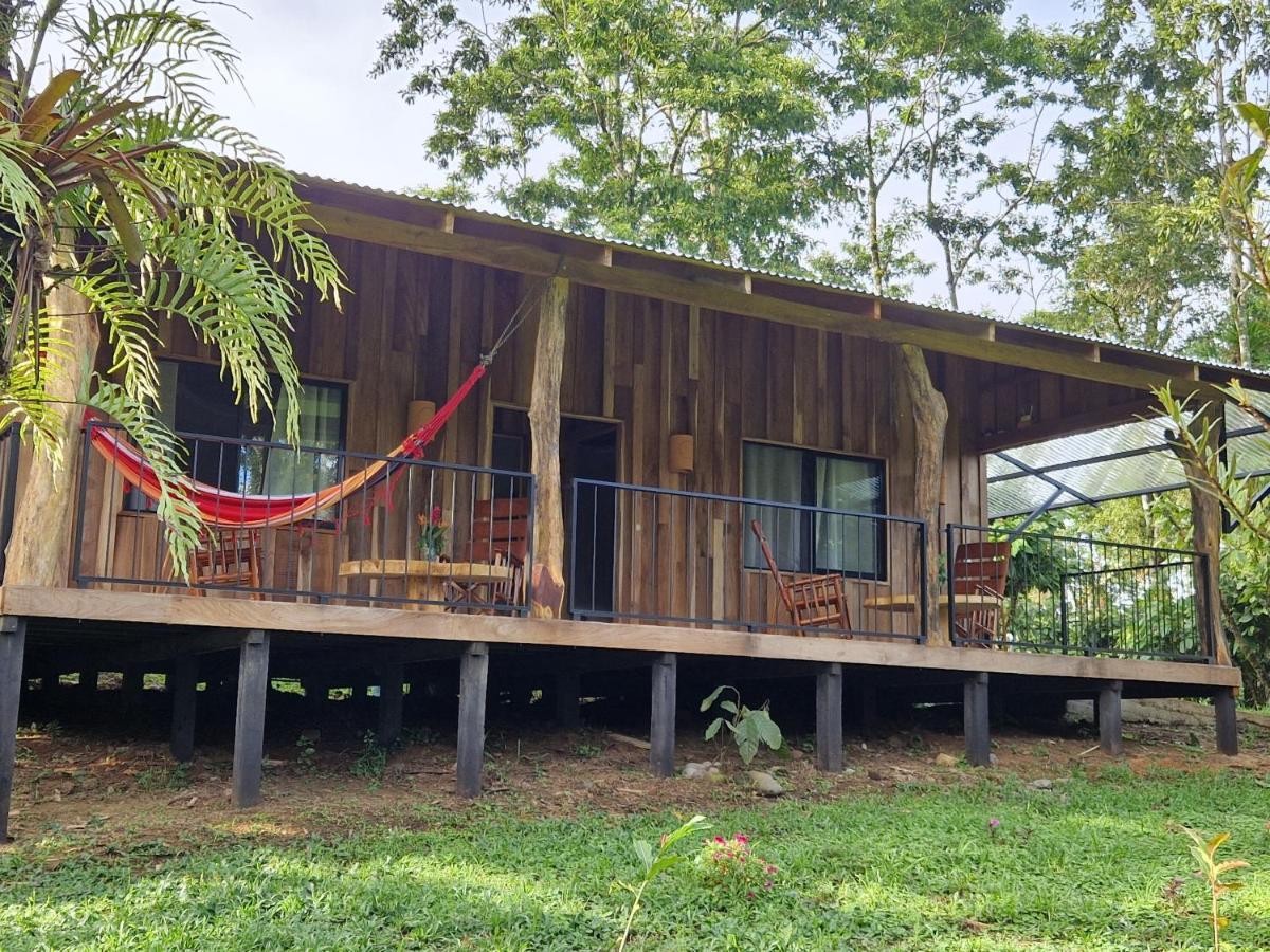 Amistad Cacao