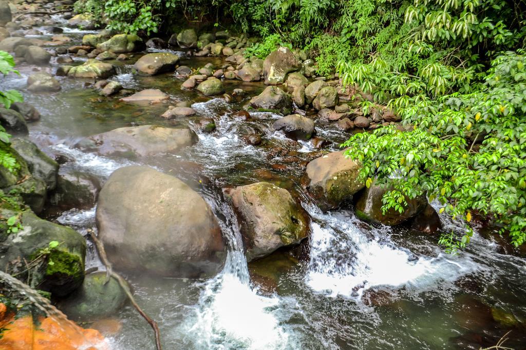 El Tucano & Thermal Quesada (Alajuela)