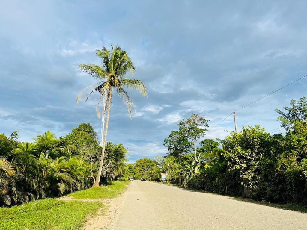 Perla Negra Beachfront