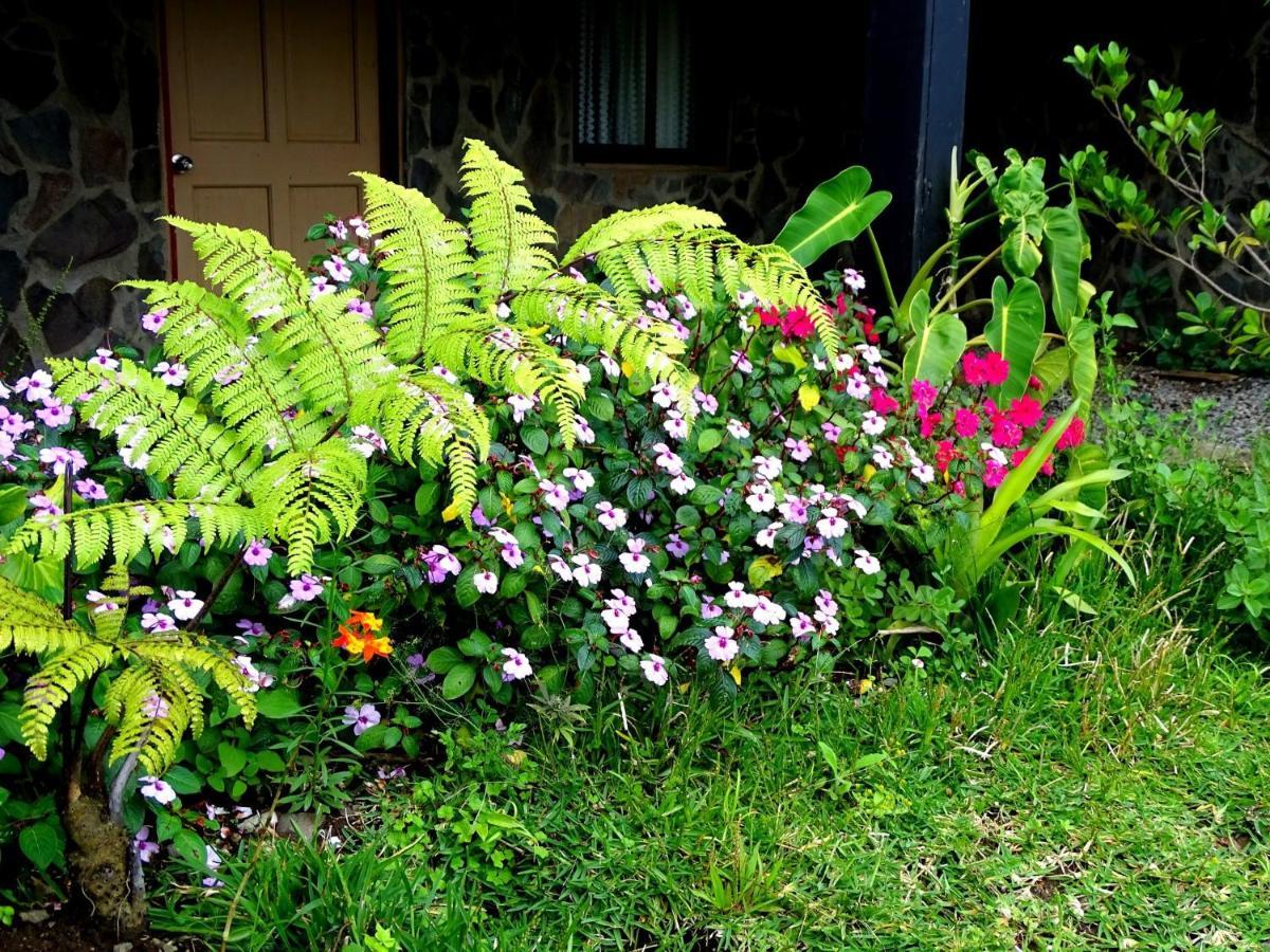 Miztli & Adventure 3* Monteverde
