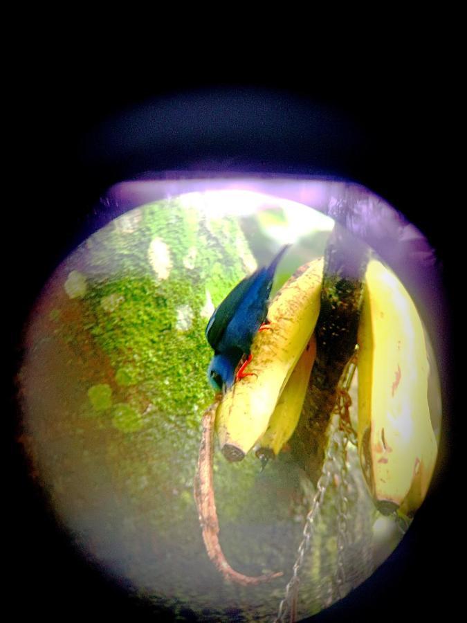 Arenal Rustic La Fortuna