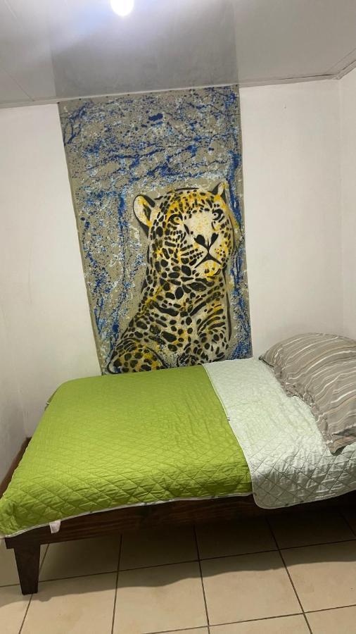 Guest house Organico Punta Riel Cahuita