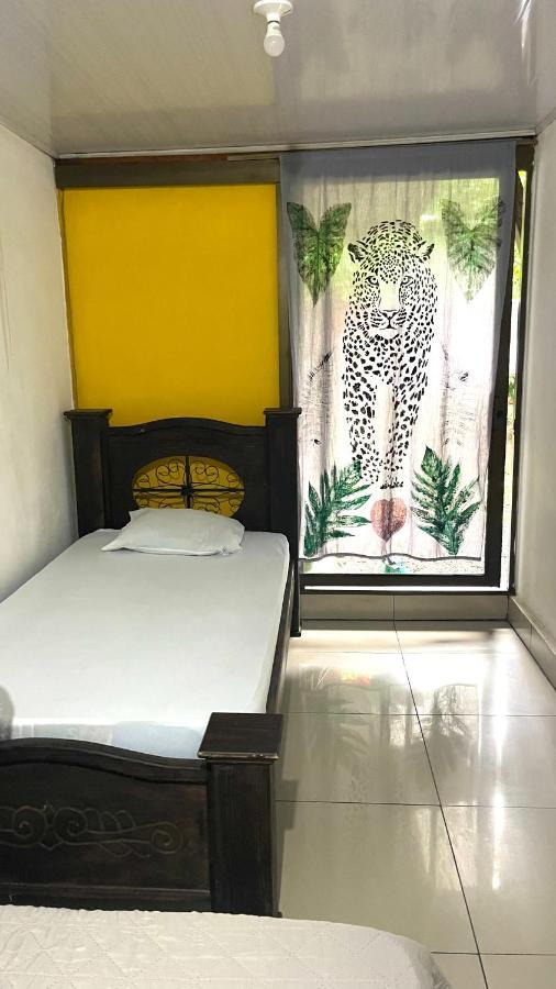 Organico Punta Riel Guest house