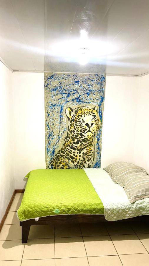 Organico Punta Riel Guest house *