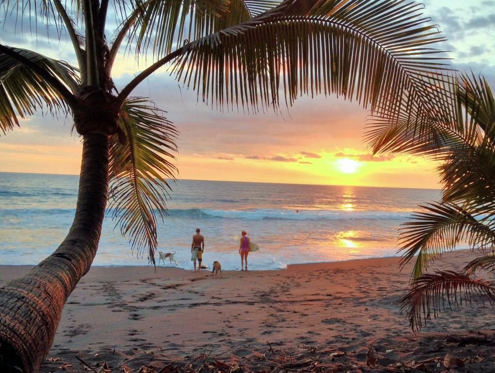 Beachfront Vista Hermosa Hotel Jaco