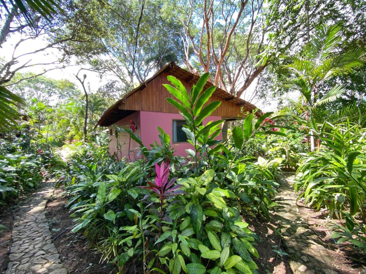 Casa Colores 3* Montezuma