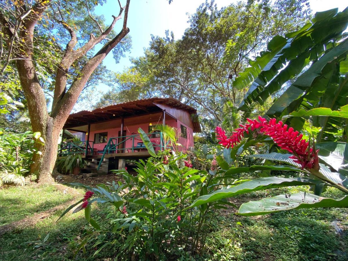 Casa Colores 3* Montezuma