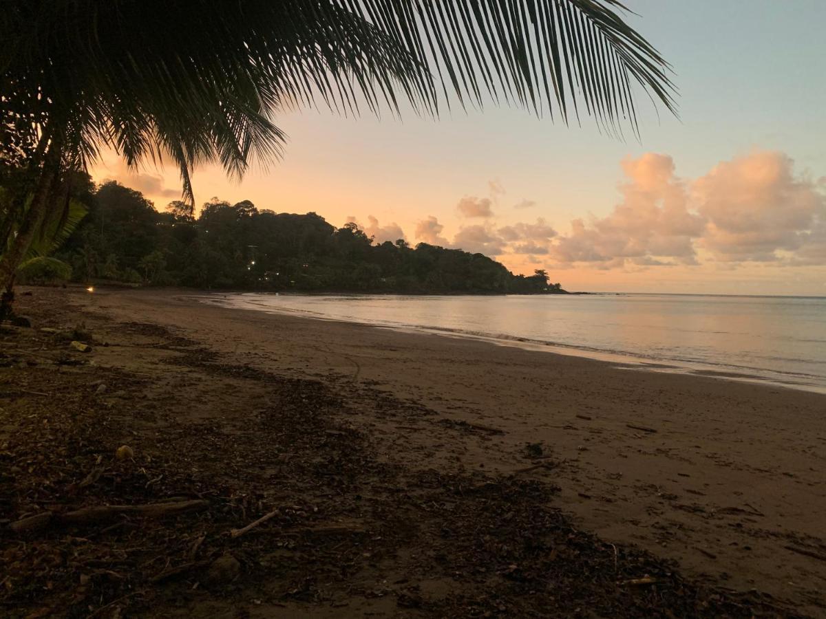 Bed & Breakfast Osa Corcovado