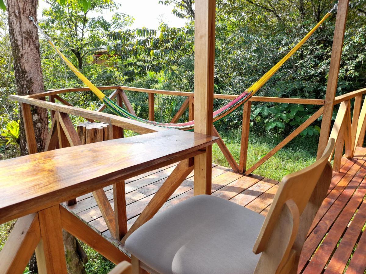 Onca Tours & Treehouses Lodge *
