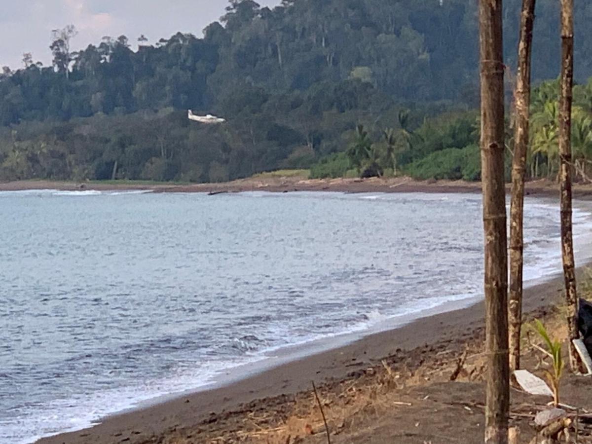 Osa Corcovado *