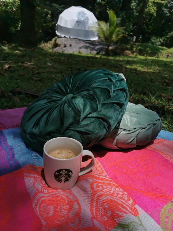 Bed & Breakfast Roble Coral Glamping *