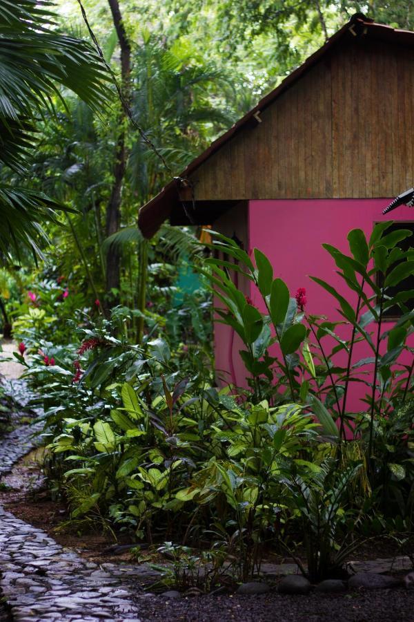 Casa Colores 3* Montezuma