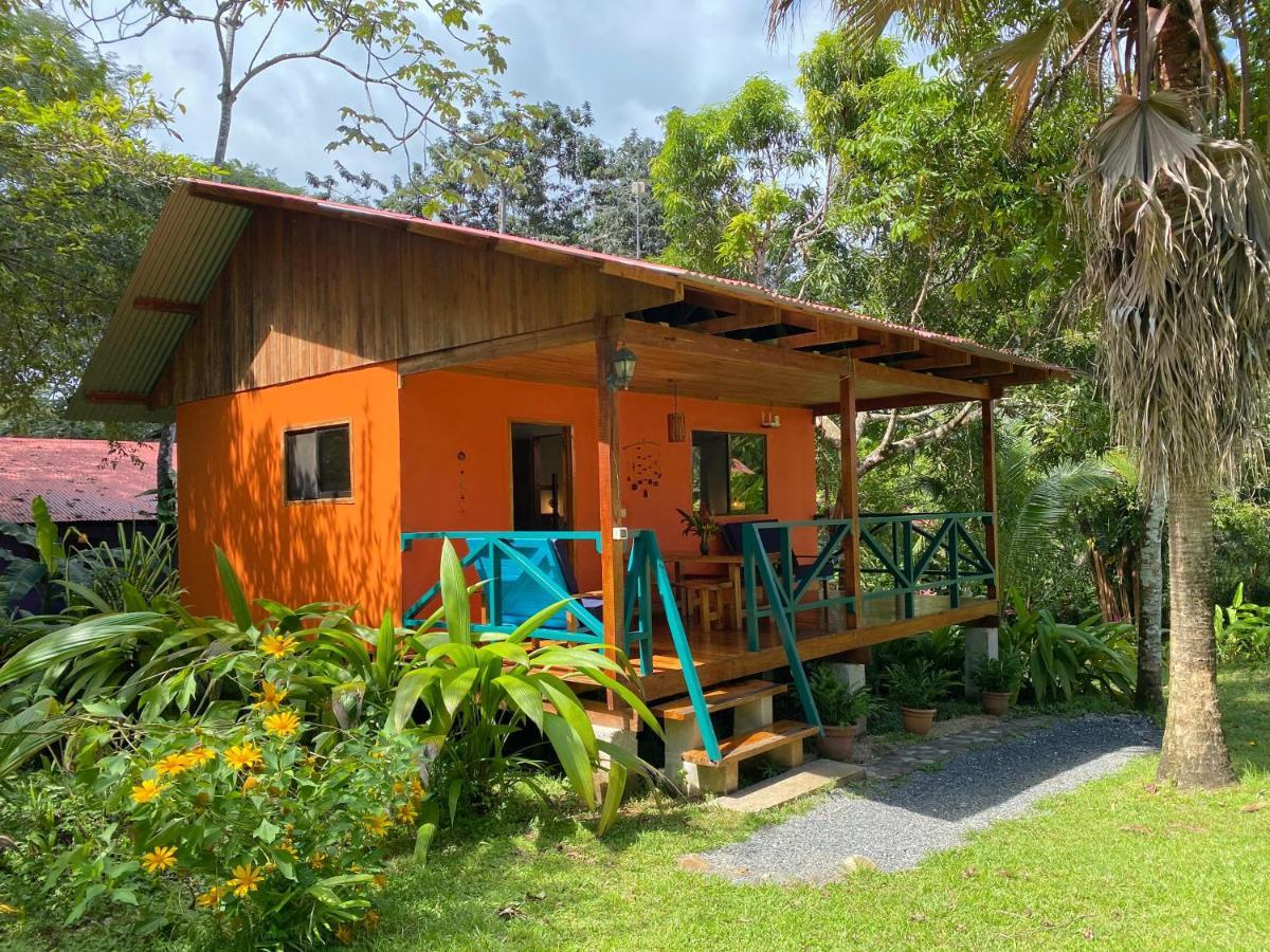 Casa Colores Guest house 3*