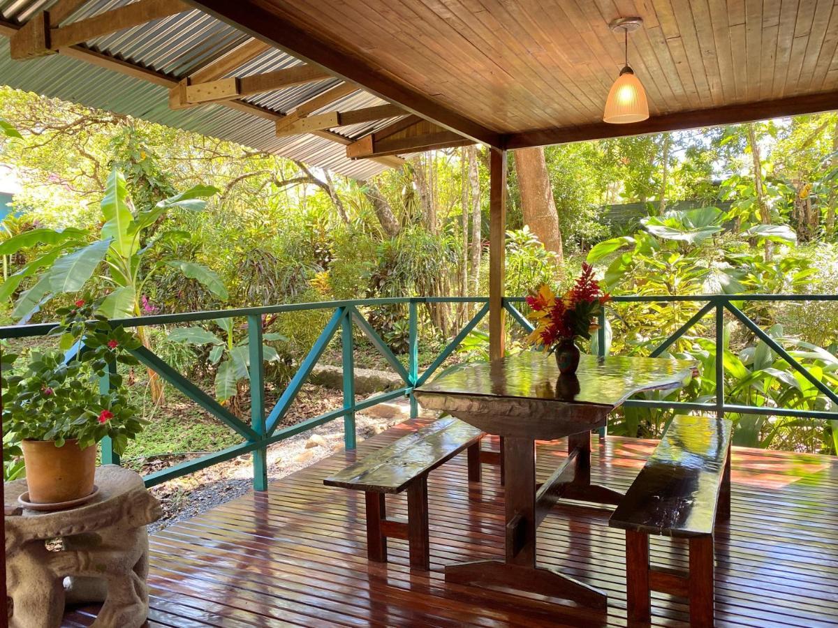 Guest house Casa Colores 3*