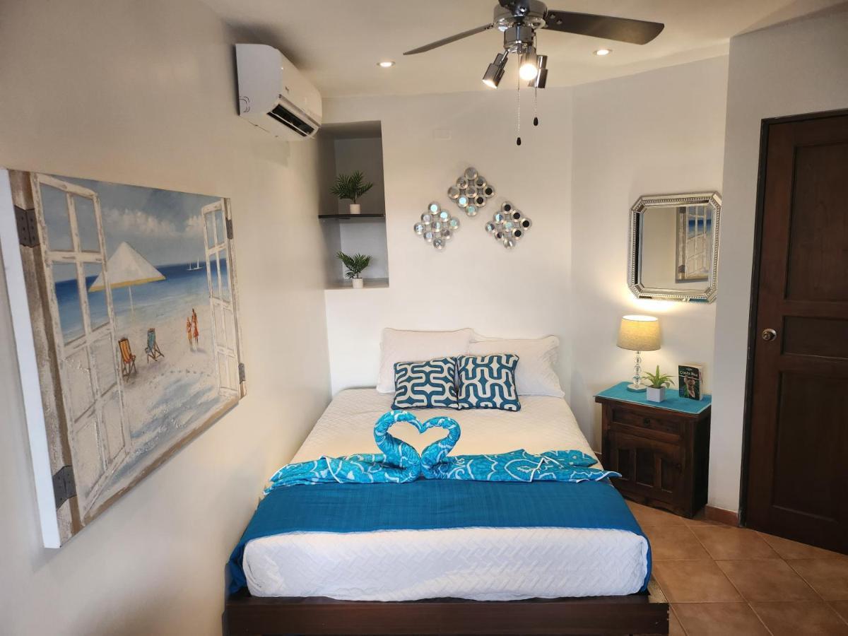 Amazing Oceanview Rooftop Terrace Walk To Apartment