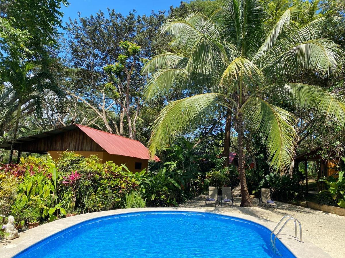 Guest house Casa Colores Montezuma