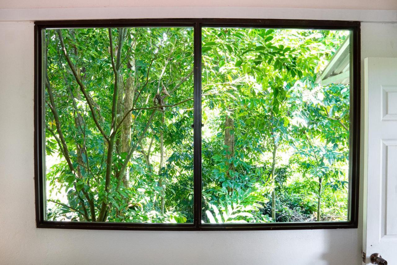 Osa De Rio Guest house