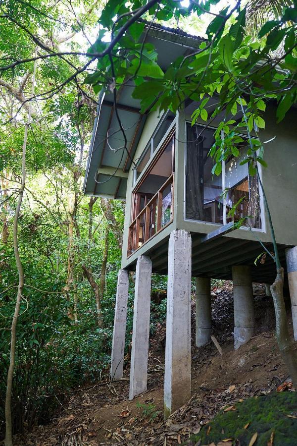 Bed & Breakfast Luz En El Cielo Eco-b&b/hostel 3*
