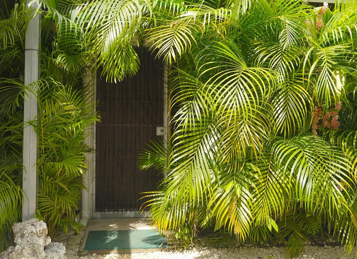 Apartment Y Brisas Del Mar Santa Teresa Playa Santa Teresa (Puntarenas)