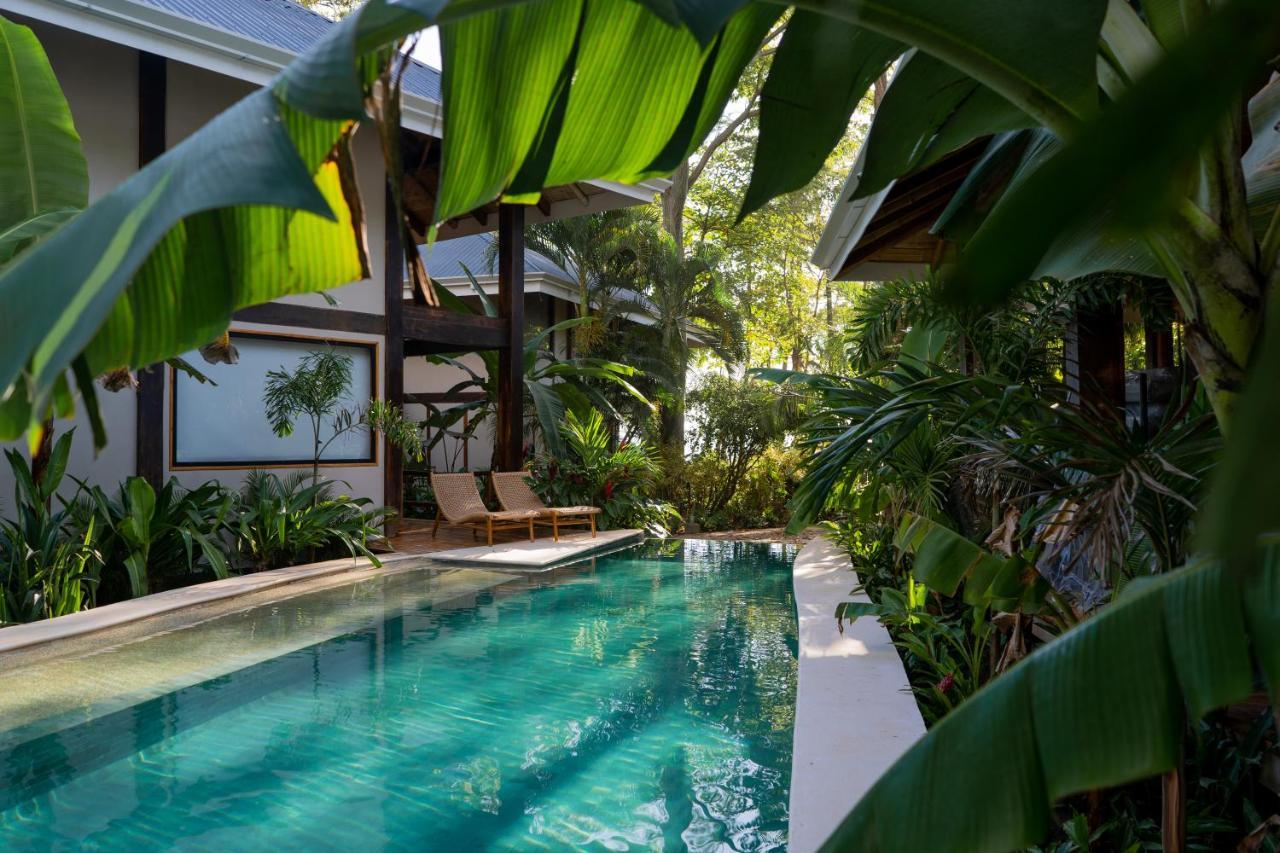 Blue Mist Hotel- Adults Only Hotel *