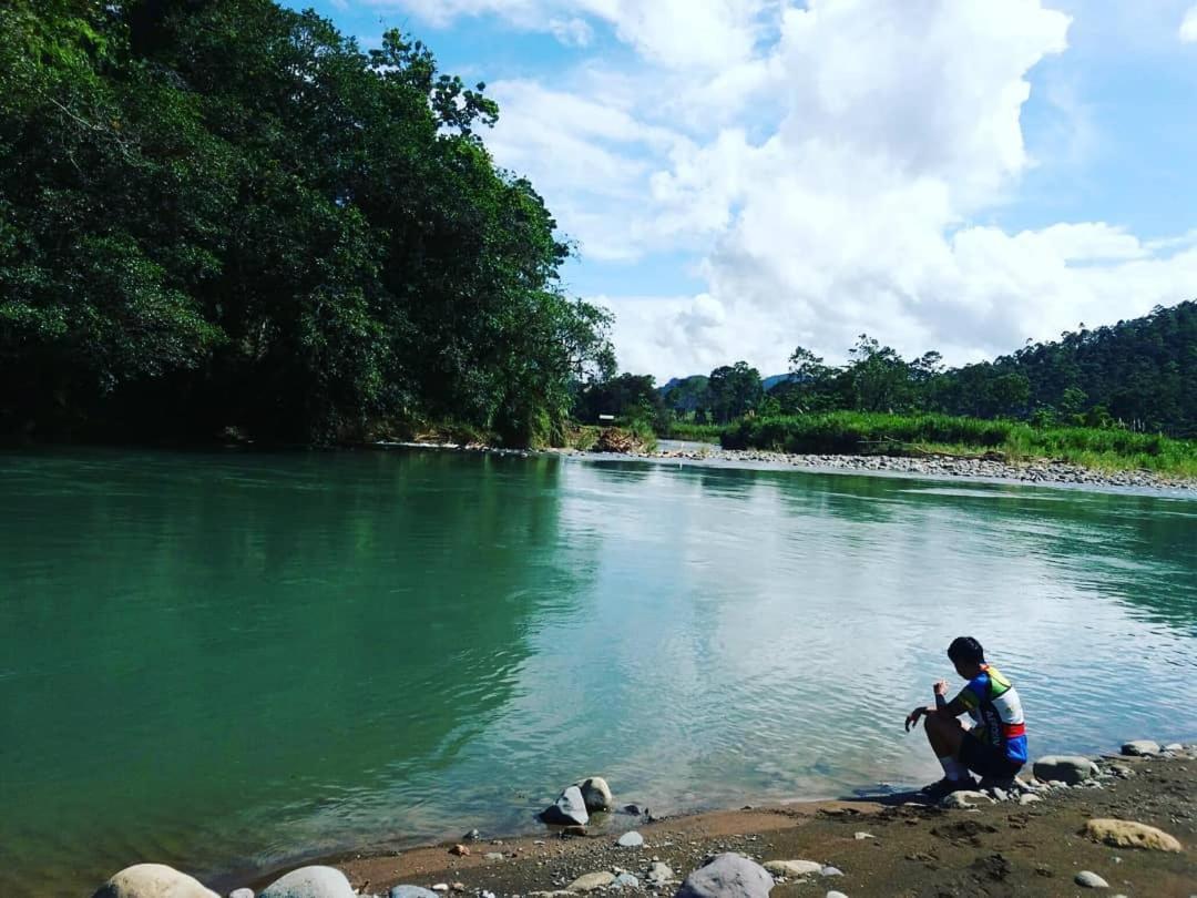 Wagelia 2* Turrialba