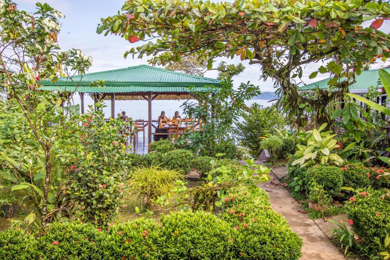 Cotingas Ocean View