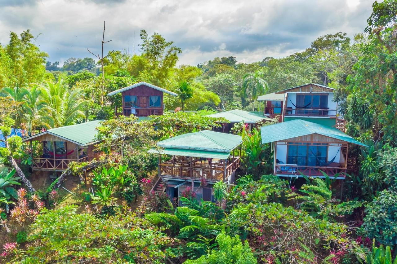 Cotingas Ocean View *