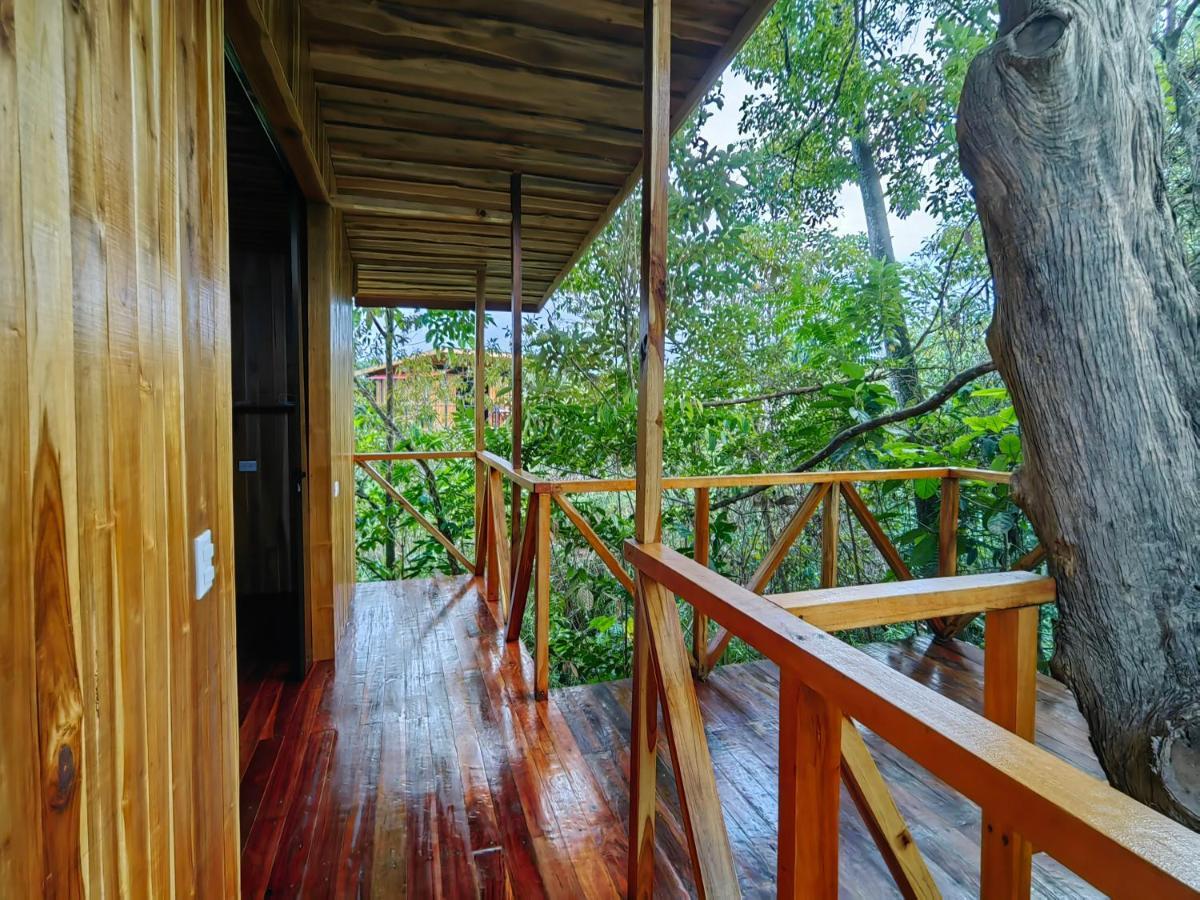 Lodge Onca Tours & Treehouses