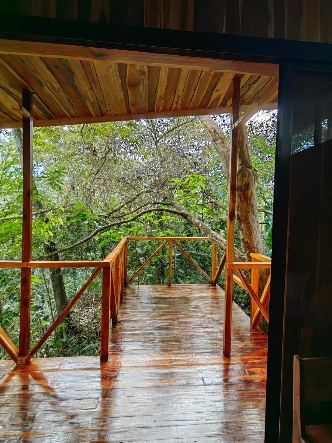 Onca Tours & Treehouses Lodge *