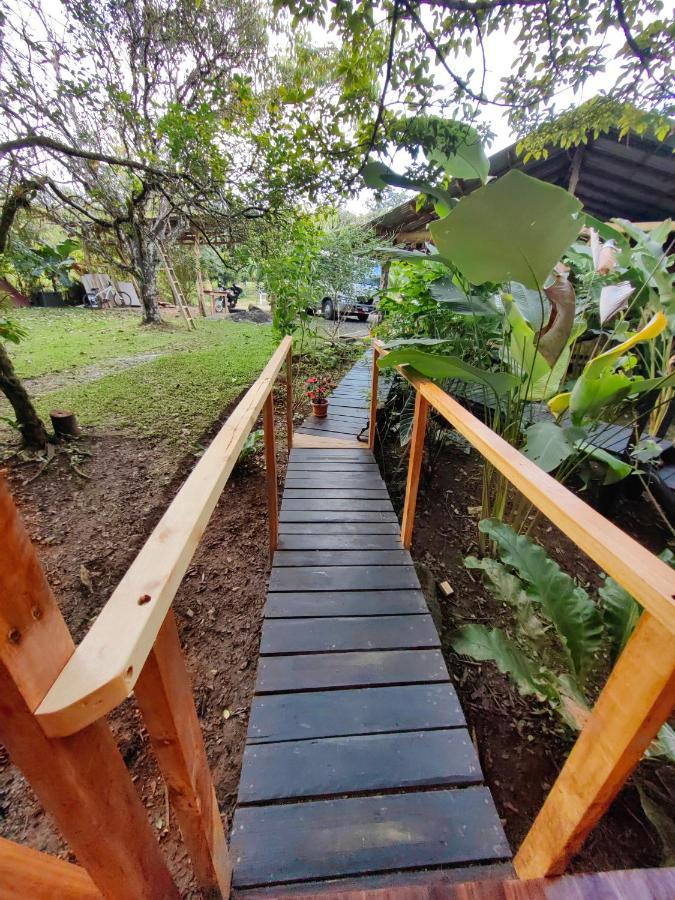 Onca Tours & Treehouses Lodge *