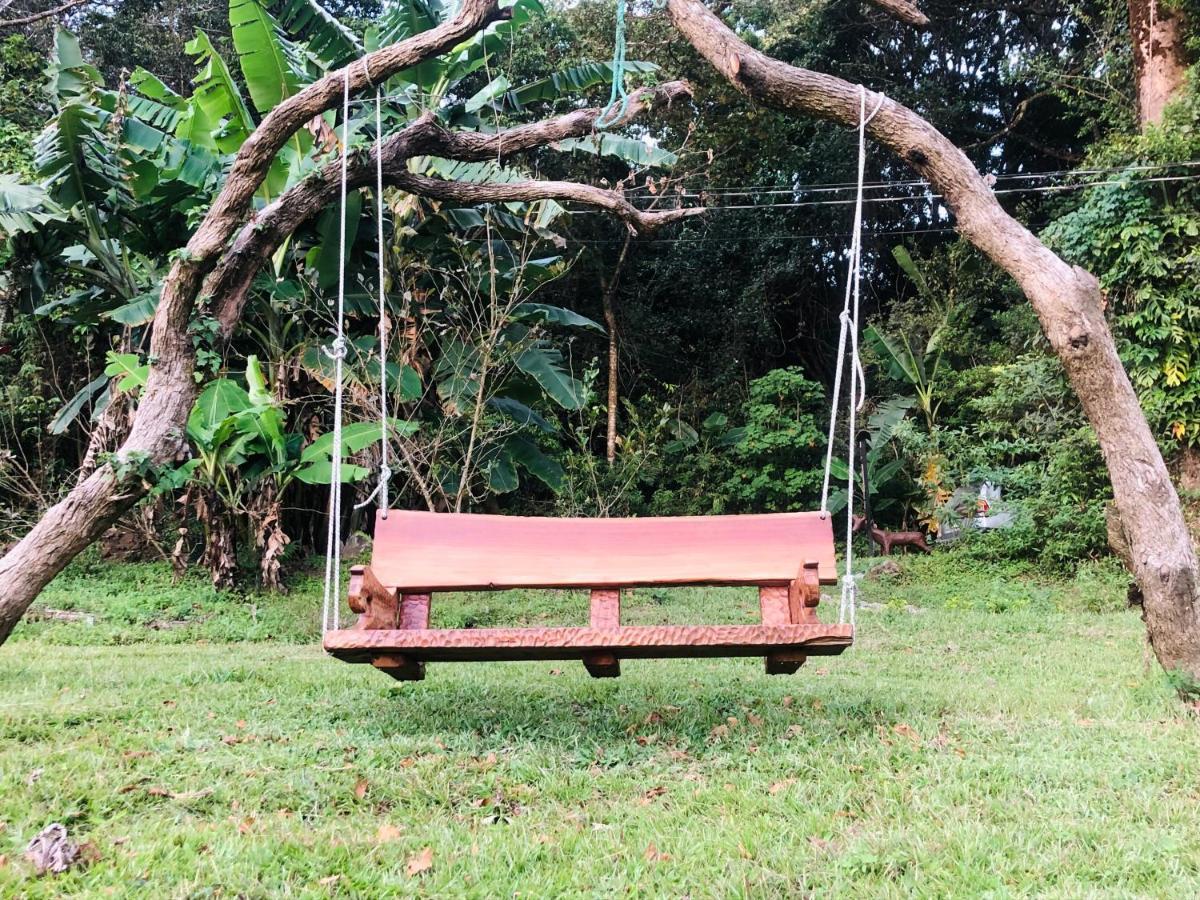 Above The Gulf, * Monteverde