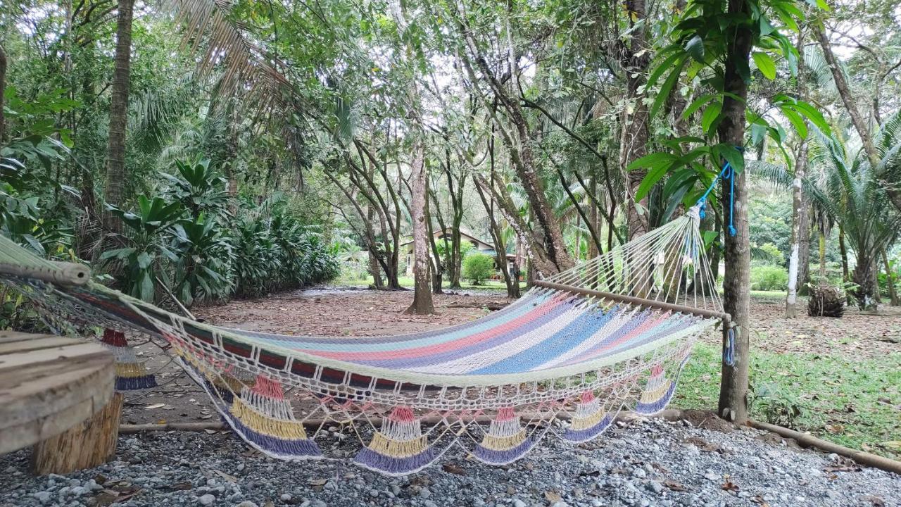 Four Monkeys Eco - Jungle & Cabo Matapalo