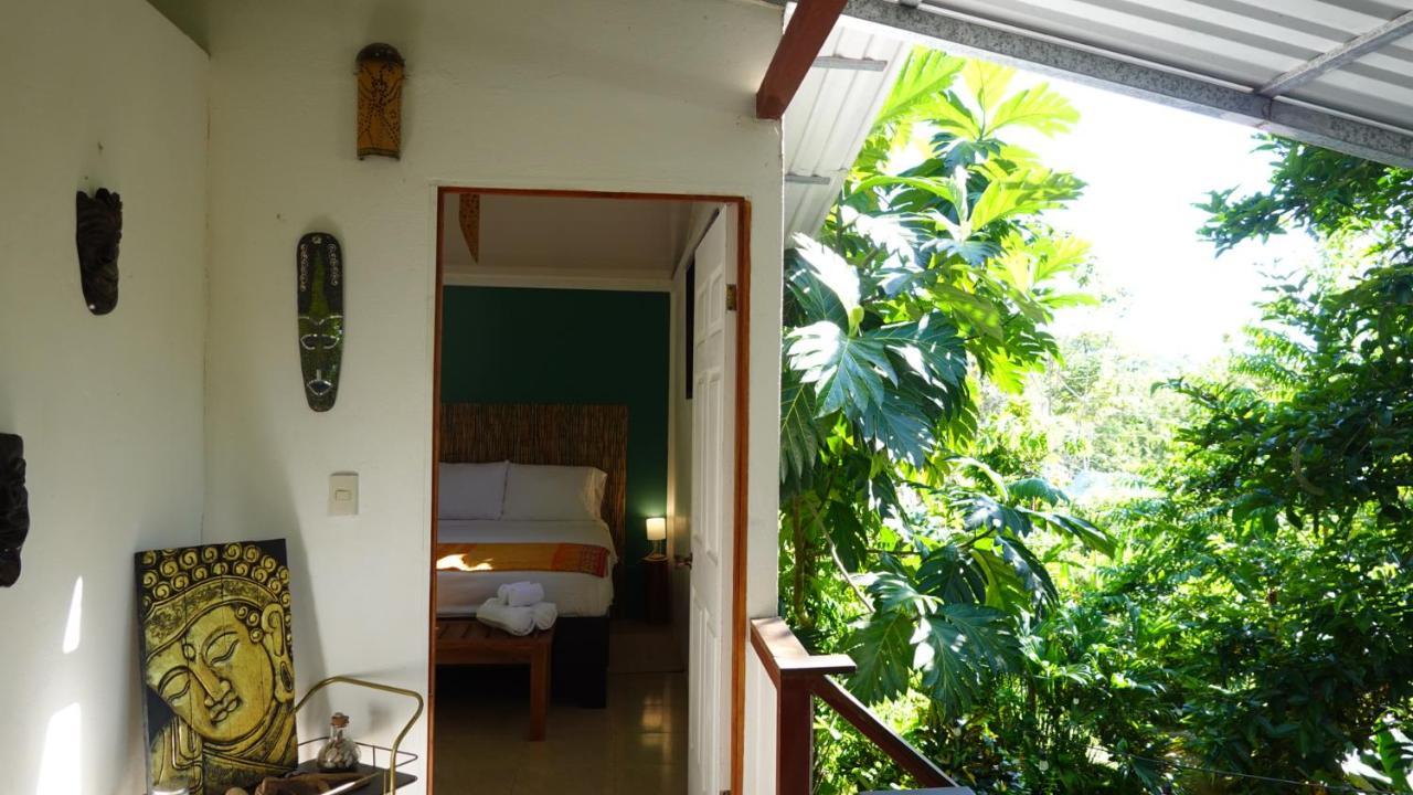 Osa De Rio Uvita